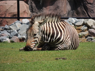 Filename=DSCN2773.JPG
Filesize=6241KiB
Dimensions=4608x3456
Date added=Sep 19, 2019 DSCN2773.JPG