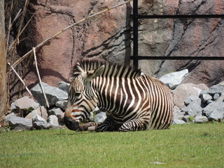 Filename=DSCN2774.JPG
Filesize=6031KiB
Dimensions=4608x3456
Date added=Sep 19, 2019 DSCN2774.JPG