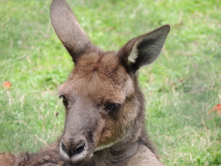 Filename=DSCN2777.JPG
Filesize=6115KiB
Dimensions=4608x3456
Date added=Sep 19, 2019 DSCN2777.JPG