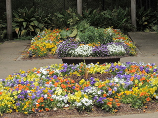 Filename=DSCN2778.JPG
Filesize=6220KiB
Dimensions=4608x3456
Date added=Sep 19, 2019 DSCN2778.JPG