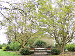 Filename=DSCN2779.JPG
Filesize=4778KiB
Dimensions=4608x3456
Date added=Sep 19, 2019 DSCN2779.JPG