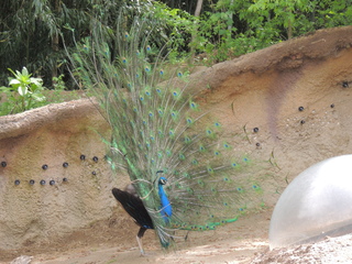 Filename=DSCN2797.JPG
Filesize=6262KiB
Dimensions=4608x3456
Date added=Sep 19, 2019 DSCN2797.JPG