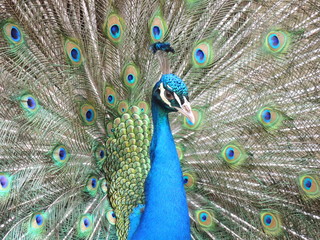 Filename=DSCN2802.JPG
Filesize=5683KiB
Dimensions=4608x3456
Date added=Sep 19, 2019 DSCN2802.JPG