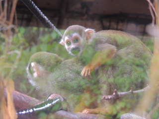 Filename=DSCN2813.JPG
Filesize=5374KiB
Dimensions=4608x3456
Date added=Sep 19, 2019 DSCN2813.JPG