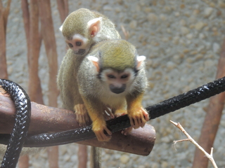 Filename=DSCN2818.JPG
Filesize=5325KiB
Dimensions=4608x3456
Date added=Sep 19, 2019 DSCN2818.JPG