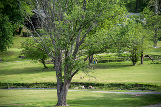 Filename=DSC_1244.jpg
Filesize=33325KiB
Dimensions=7360x4912
Date added=Sep 20, 2019 DSC_1244.jpg