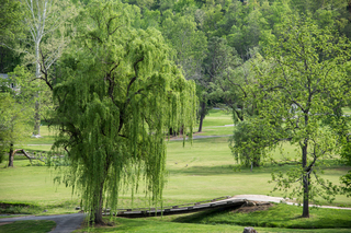 Filename=DSC_1245.jpg
Filesize=38583KiB
Dimensions=7360x4912
Date added=Sep 20, 2019 DSC_1245.jpg