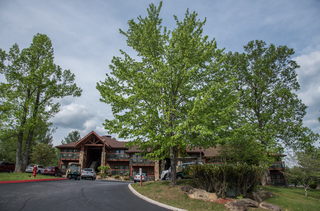 Filename=DSC_1248.jpg
Filesize=28214KiB
Dimensions=7208x4754
Date added=Sep 20, 2019 DSC_1248.jpg