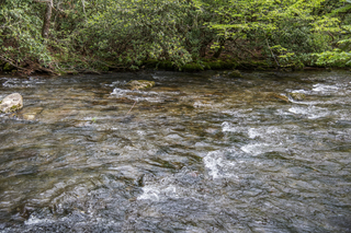 Filename=DSC_1253.jpg
Filesize=30977KiB
Dimensions=7360x4912
Date added=Sep 20, 2019 DSC_1253.jpg