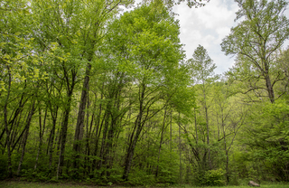 Filename=DSC_1254.jpg
Filesize=37667KiB
Dimensions=7188x4692
Date added=Sep 20, 2019 DSC_1254.jpg