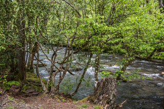 Filename=DSC_1255.jpg
Filesize=31716KiB
Dimensions=7360x4912
Date added=Sep 20, 2019 DSC_1255.jpg