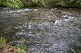 Filename=DSC_1256.jpg
Filesize=27612KiB
Dimensions=7226x4784
Date added=Sep 20, 2019 DSC_1256.jpg