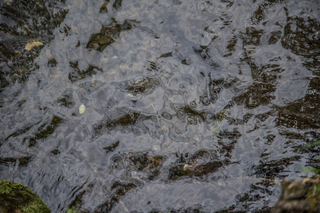 Filename=DSC_1258.jpg
Filesize=19373KiB
Dimensions=7360x4912
Date added=Sep 20, 2019 DSC_1258.jpg