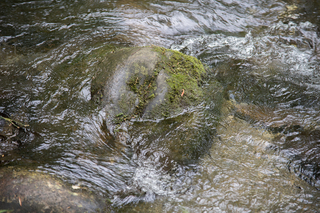 Filename=DSC_1259.jpg
Filesize=26006KiB
Dimensions=7360x4912
Date added=Sep 20, 2019 DSC_1259.jpg