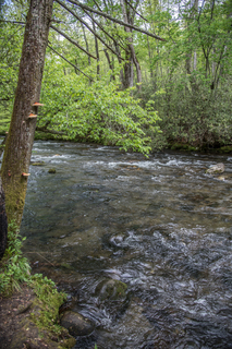 Filename=DSC_1263.jpg
Filesize=29413KiB
Dimensions=4912x7360
Date added=Sep 20, 2019 DSC_1263.jpg