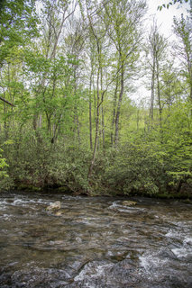 Filename=DSC_1264.jpg
Filesize=35049KiB
Dimensions=4912x7360
Date added=Sep 20, 2019 DSC_1264.jpg