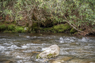 Filename=DSC_1265.jpg
Filesize=30589KiB
Dimensions=7360x4912
Date added=Sep 20, 2019 DSC_1265.jpg