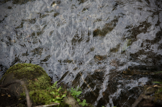 Filename=DSC_1266.jpg
Filesize=17833KiB
Dimensions=7360x4912
Date added=Sep 20, 2019 DSC_1266.jpg