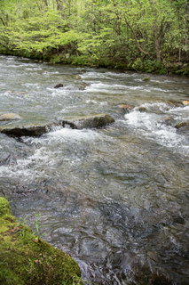 Filename=DSC_1269.jpg
Filesize=25336KiB
Dimensions=4912x7360
Date added=Sep 20, 2019 DSC_1269.jpg