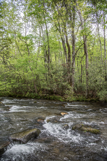 Filename=DSC_1272.jpg
Filesize=34800KiB
Dimensions=4912x7360
Date added=Sep 20, 2019 DSC_1272.jpg