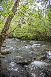 Filename=DSC_1273.jpg
Filesize=29628KiB
Dimensions=4912x7360
Date added=Sep 20, 2019 DSC_1273.jpg