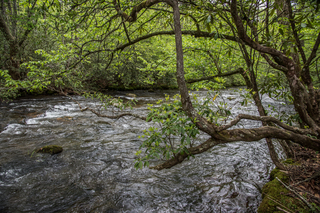 Filename=DSC_1277.jpg
Filesize=34896KiB
Dimensions=7360x4912
Date added=Sep 20, 2019 DSC_1277.jpg