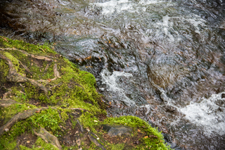 Filename=DSC_1278.jpg
Filesize=29737KiB
Dimensions=7360x4912
Date added=Sep 20, 2019 DSC_1278.jpg