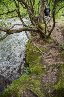 Filename=DSC_1280.jpg
Filesize=31125KiB
Dimensions=4912x7360
Date added=Sep 20, 2019 DSC_1280.jpg