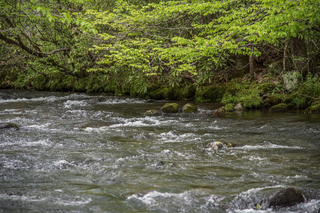 Filename=DSC_1282.jpg
Filesize=29161KiB
Dimensions=7360x4912
Date added=Sep 20, 2019 DSC_1282.jpg