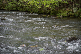 Filename=DSC_1283.jpg
Filesize=24371KiB
Dimensions=7360x4912
Date added=Sep 20, 2019 DSC_1283.jpg