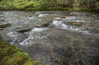 Filename=DSC_1284.jpg
Filesize=25602KiB
Dimensions=7189x4735
Date added=Sep 20, 2019 DSC_1284.jpg