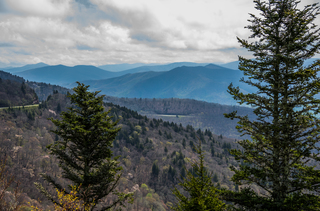 Filename=DSC_1287.jpg
Filesize=20712KiB
Dimensions=7232x4784
Date added=Sep 20, 2019 DSC_1287.jpg