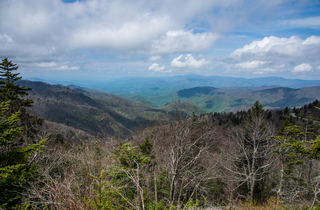 Filename=DSC_1288.jpg
Filesize=27208KiB
Dimensions=7220x4754
Date added=Sep 20, 2019 DSC_1288.jpg