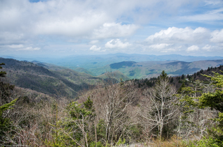 Filename=DSC_1289.jpg
Filesize=27112KiB
Dimensions=7269x4803
Date added=Sep 20, 2019 DSC_1289.jpg