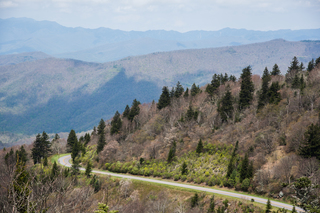 Filename=DSC_1295.jpg
Filesize=24740KiB
Dimensions=7360x4912
Date added=Sep 20, 2019 DSC_1295.jpg