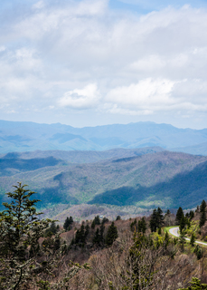 Filename=DSC_1298.jpg
Filesize=20378KiB
Dimensions=4912x6840
Date added=Sep 20, 2019 DSC_1298.jpg