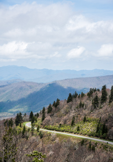 Filename=DSC_1299.jpg
Filesize=21008KiB
Dimensions=4912x6976
Date added=Sep 20, 2019 DSC_1299.jpg