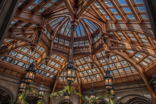 Filename=DSC_1307.jpg
Filesize=30589KiB
Dimensions=7360x4912
Date added=Sep 20, 2019 DSC_1307.jpg