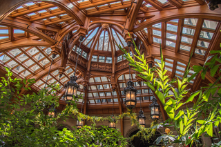 Filename=DSC_1318.jpg
Filesize=31669KiB
Dimensions=7360x4912
Date added=Sep 20, 2019 DSC_1318.jpg