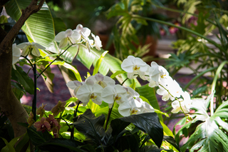 Filename=DSC_1319.jpg
Filesize=21570KiB
Dimensions=7360x4912
Date added=Sep 20, 2019 DSC_1319.jpg