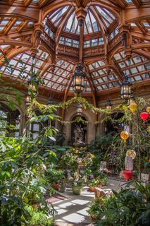 Filename=DSC_1321.jpg
Filesize=28983KiB
Dimensions=4912x7360
Date added=Sep 20, 2019 DSC_1321.jpg