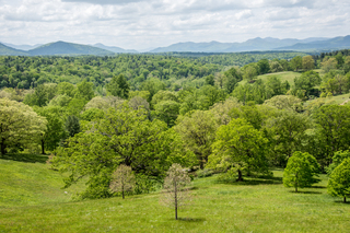 Filename=DSC_1341.jpg
Filesize=38485KiB
Dimensions=7360x4912
Date added=Sep 20, 2019 DSC_1341.jpg