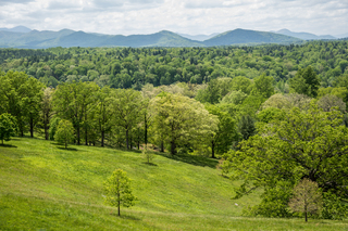 Filename=DSC_1342.jpg
Filesize=39322KiB
Dimensions=7360x4912
Date added=Sep 20, 2019 DSC_1342.jpg