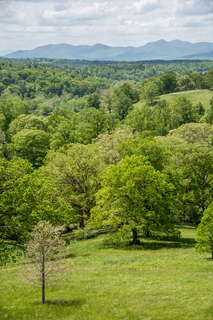 Filename=DSC_1343.jpg
Filesize=37279KiB
Dimensions=4912x7360
Date added=Sep 20, 2019 DSC_1343.jpg