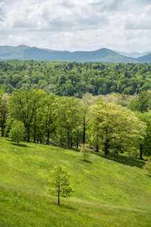 Filename=DSC_1344.jpg
Filesize=36253KiB
Dimensions=4912x7360
Date added=Sep 20, 2019 DSC_1344.jpg