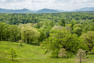 Filename=DSC_1345.jpg
Filesize=33814KiB
Dimensions=7360x4912
Date added=Sep 20, 2019 DSC_1345.jpg