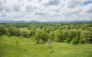 Filename=DSC_1346.jpg
Filesize=26569KiB
Dimensions=7323x4542
Date added=Sep 20, 2019 DSC_1346.jpg