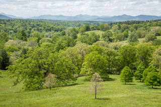 Filename=DSC_1348.jpg
Filesize=39744KiB
Dimensions=7360x4912
Date added=Sep 20, 2019 DSC_1348.jpg