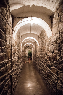 Filename=DSC_1408.jpg
Filesize=43139KiB
Dimensions=4776x7156
Date added=Sep 20, 2019 DSC_1408.jpg