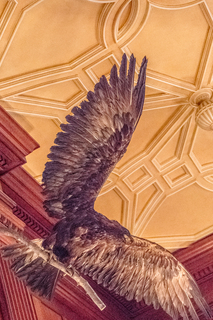 Filename=DSC_1430.jpg
Filesize=26410KiB
Dimensions=3262x4887
Date added=Sep 20, 2019 DSC_1430.jpg